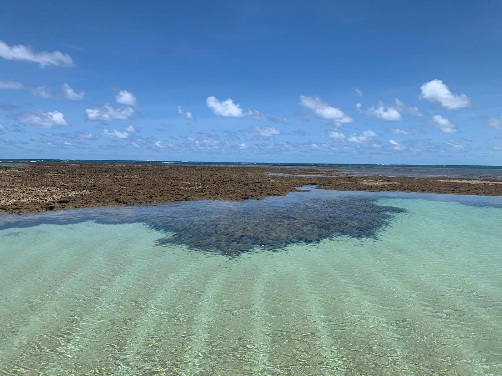 Tamandaré Maui Beach Residence מראה חיצוני תמונה